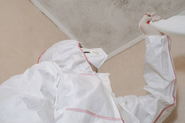 Mold Remediation for Rental Properties in Carthage, MO